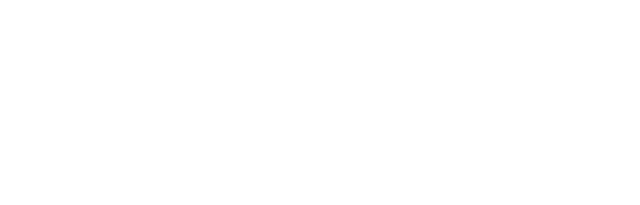 NEOSYS — Value & Solutions Builders